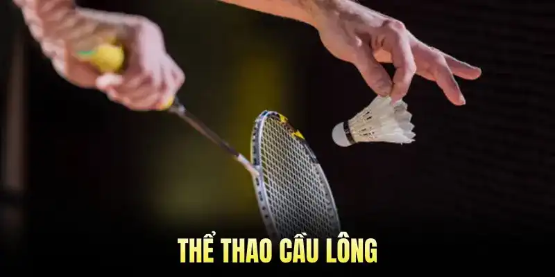 Thể Thao Cầu Lông